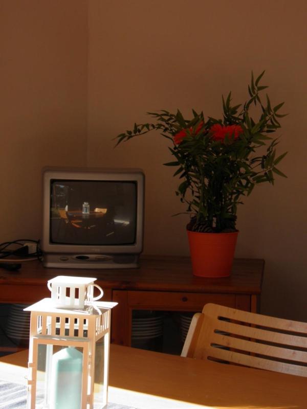 Maremmare Tuscany Apartments Принчипина а Маре Екстериор снимка